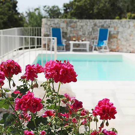 Ada Casa de Férias *