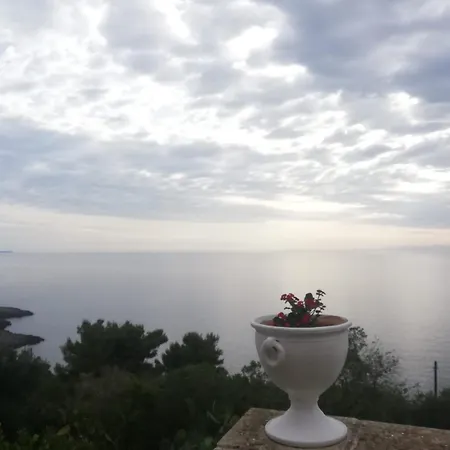 Ada Сasa de vacaciones *