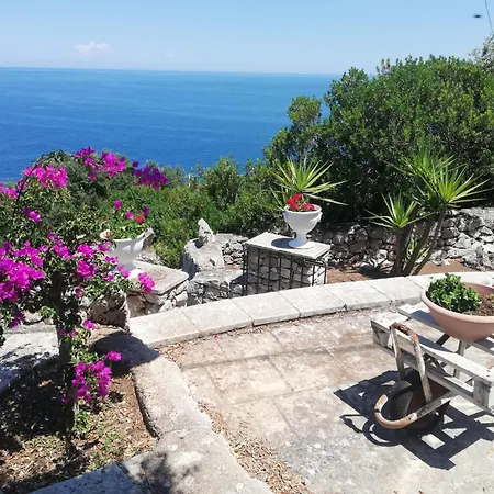 Ada * Corsano (Apulia)